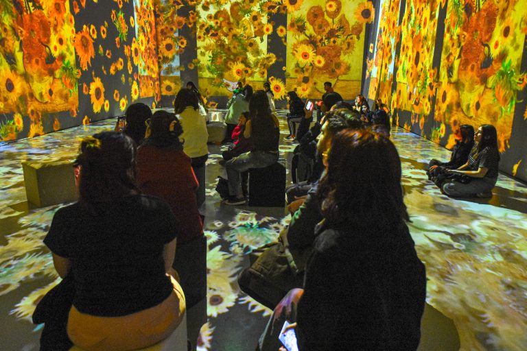 Nqn-Estudiantes Secundarios y docentes del CPEM N° 25 y otras escuelas visitan la la muestra inmersiva de VanGogh (18)