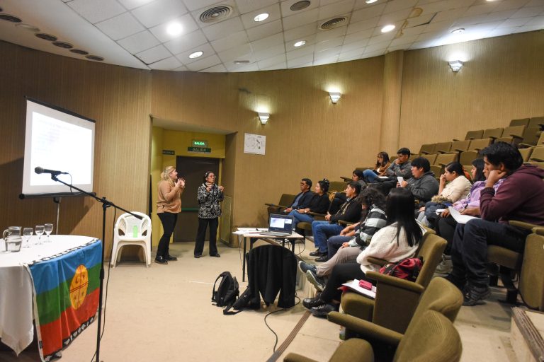 14-05- Capacitacion ley micaela con Subsec. con Ed. Intercultural (6)