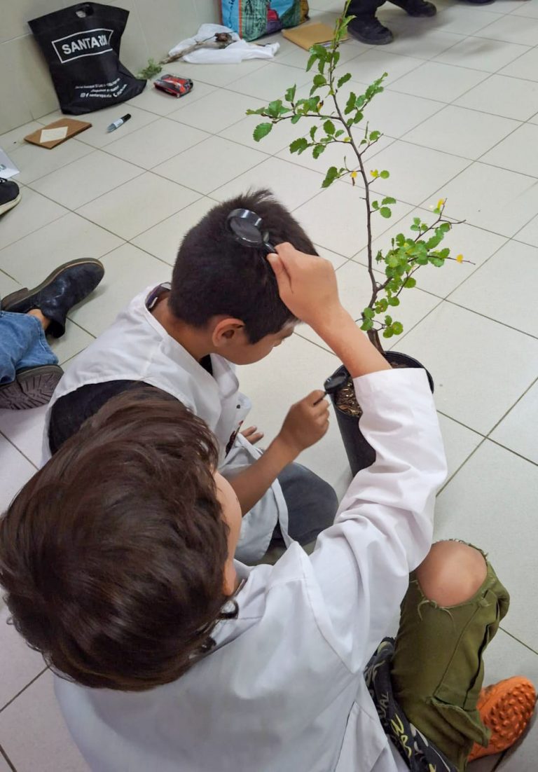 Educación Ambiental