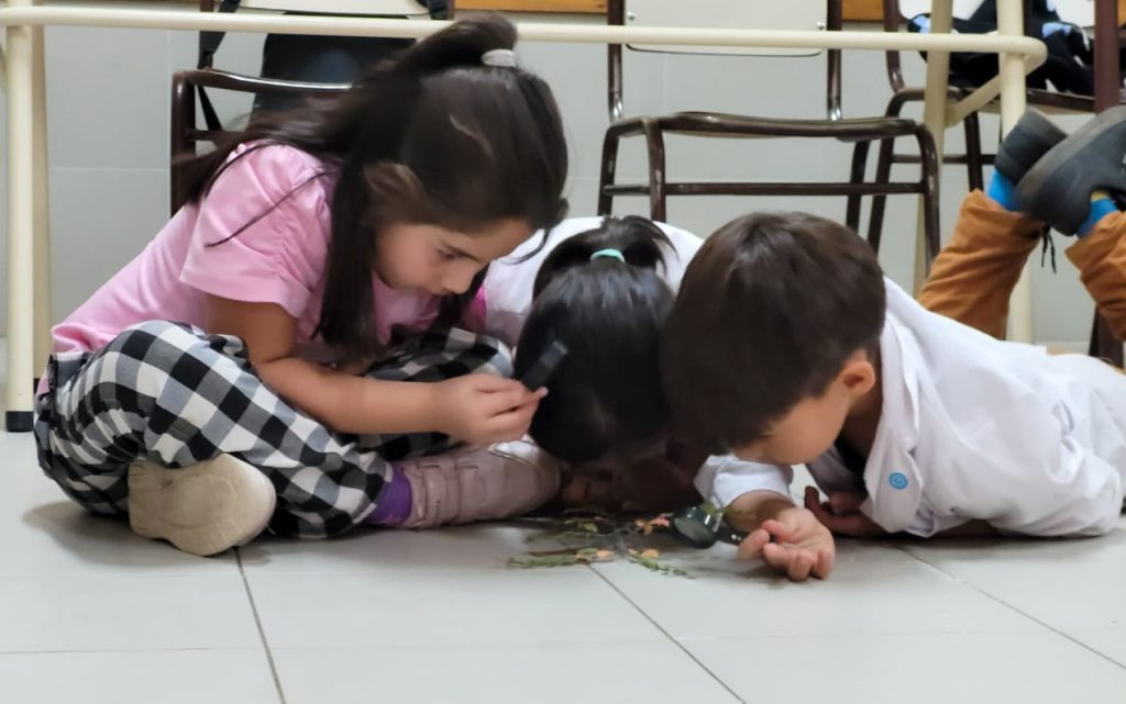 VLA educación ambiental Asociación civil Árbol - Supervisión Dist IX (2)