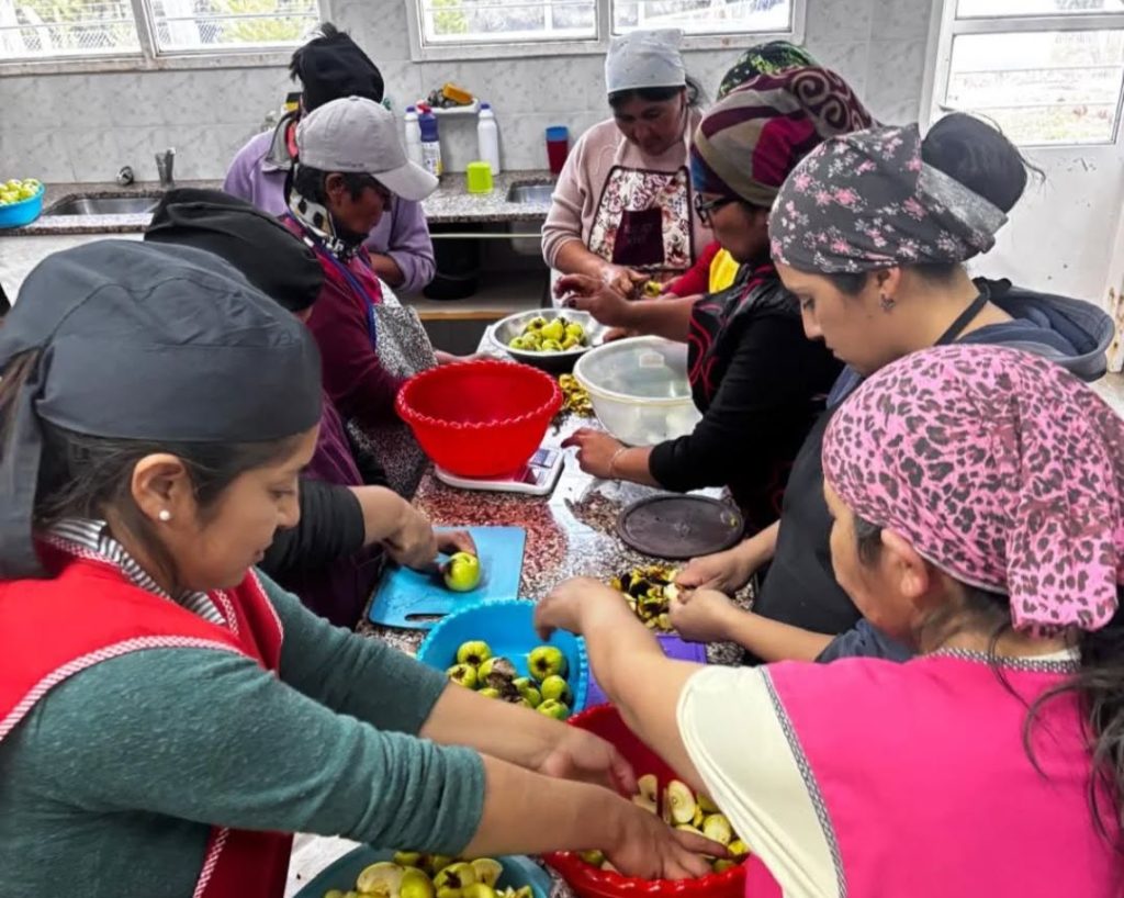 CFPAs - enseñanza agropecuaria (1)