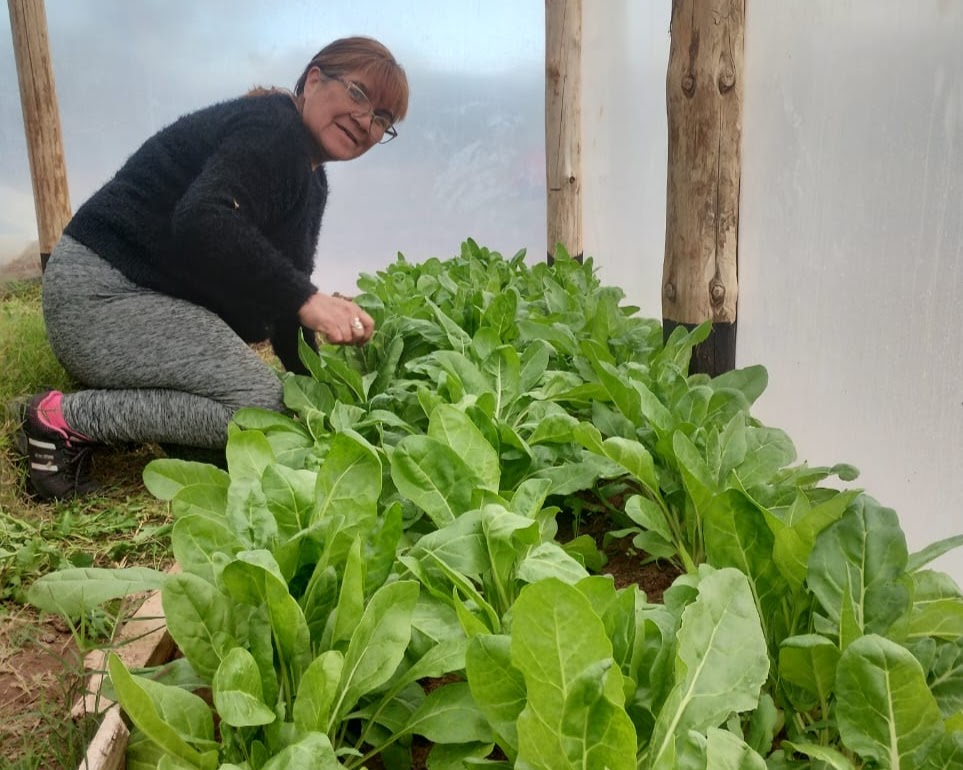 CFPAs - enseñanza agropecuaria (2)