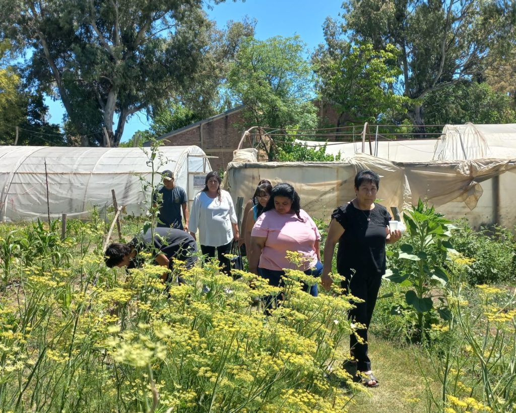 CFPAs - enseñanza agropecuaria (4)