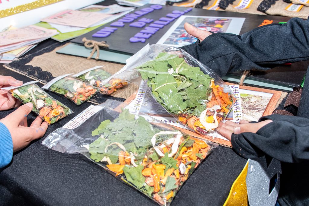 Feria de Ciencias 2025 (52)