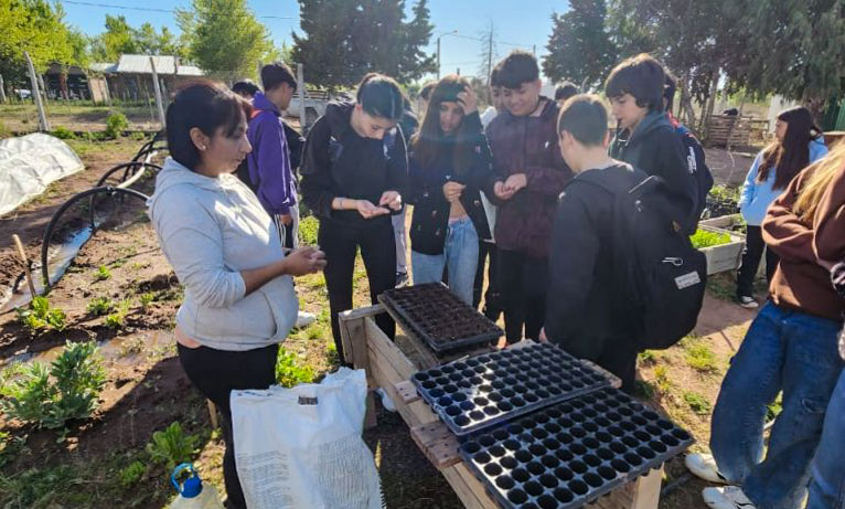 Huerta-Chocon-17-768x1024