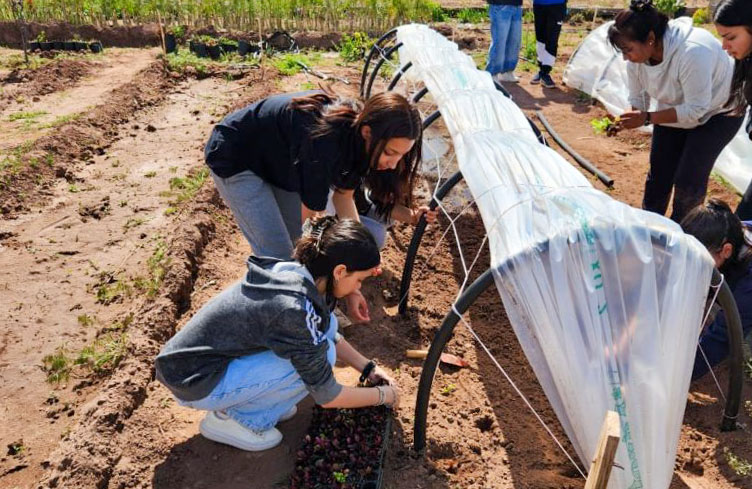 Huerta-Chocon-28-768x1024