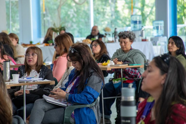 Plottier_ Cierre Ciclo puesta en marcha de las Esc. Infantiles (67)
