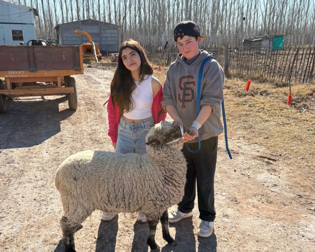 epea concurso tromen (1)