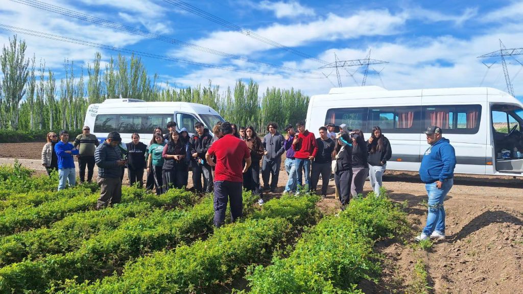 sexto año de EPEA 2 en Junin de los Andes (5)