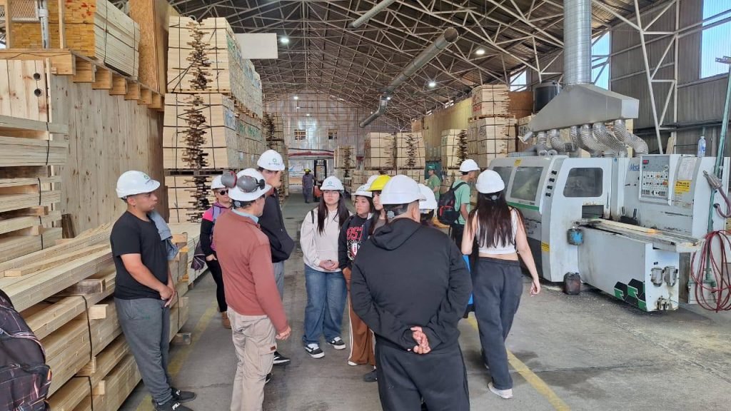 sexto año de EPEA 2 en Junin de los Andes (6)