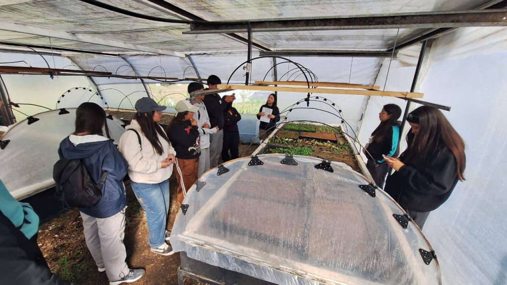 sexto año de EPEA 2 en Junin de los Andes (8)