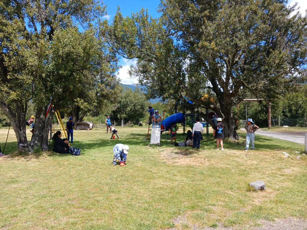 escuelas rurales Región de Los Lagos (2)