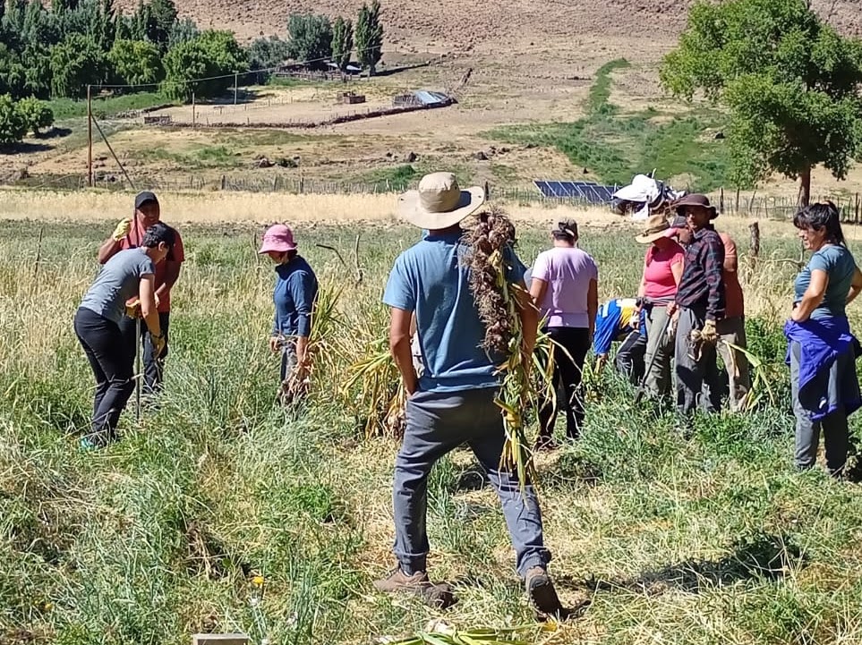 15-01 Huinganco Practicas profesionalizantes tecnicatura en agroecología (3)