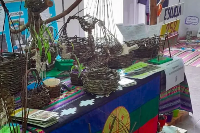 La primaria 252 de Paimún cuida el ambiente a partir de proyectos educativos