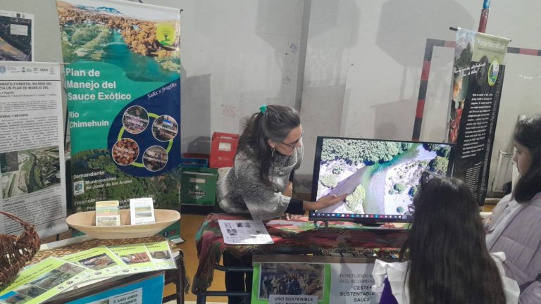 expo bosque escuelas de San Martin y Junin de los Andes (1)